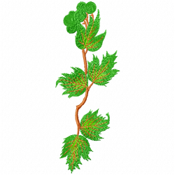 Leaves Embroidery Design 12